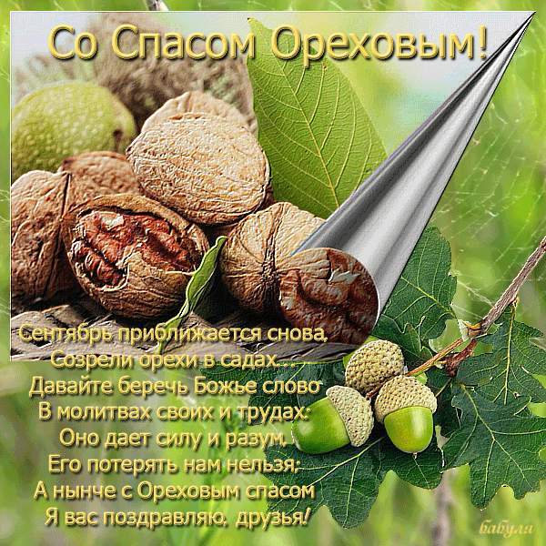 Https Encrypted Tbn0 Gstatic Com Images Q Tbn 3aand9gcsbdec9s Qk0tbtfdh7nn8fj0zrb9n1 Sjmgg Usqp Cau