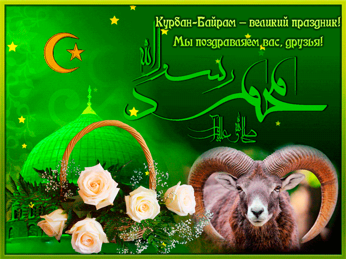 Https Encrypted Tbn0 Gstatic Com Images Q Tbn 3aand9gcsxexca9myirrpu6ce4xj4fwga0z1vmnobwyw Usqp Cau