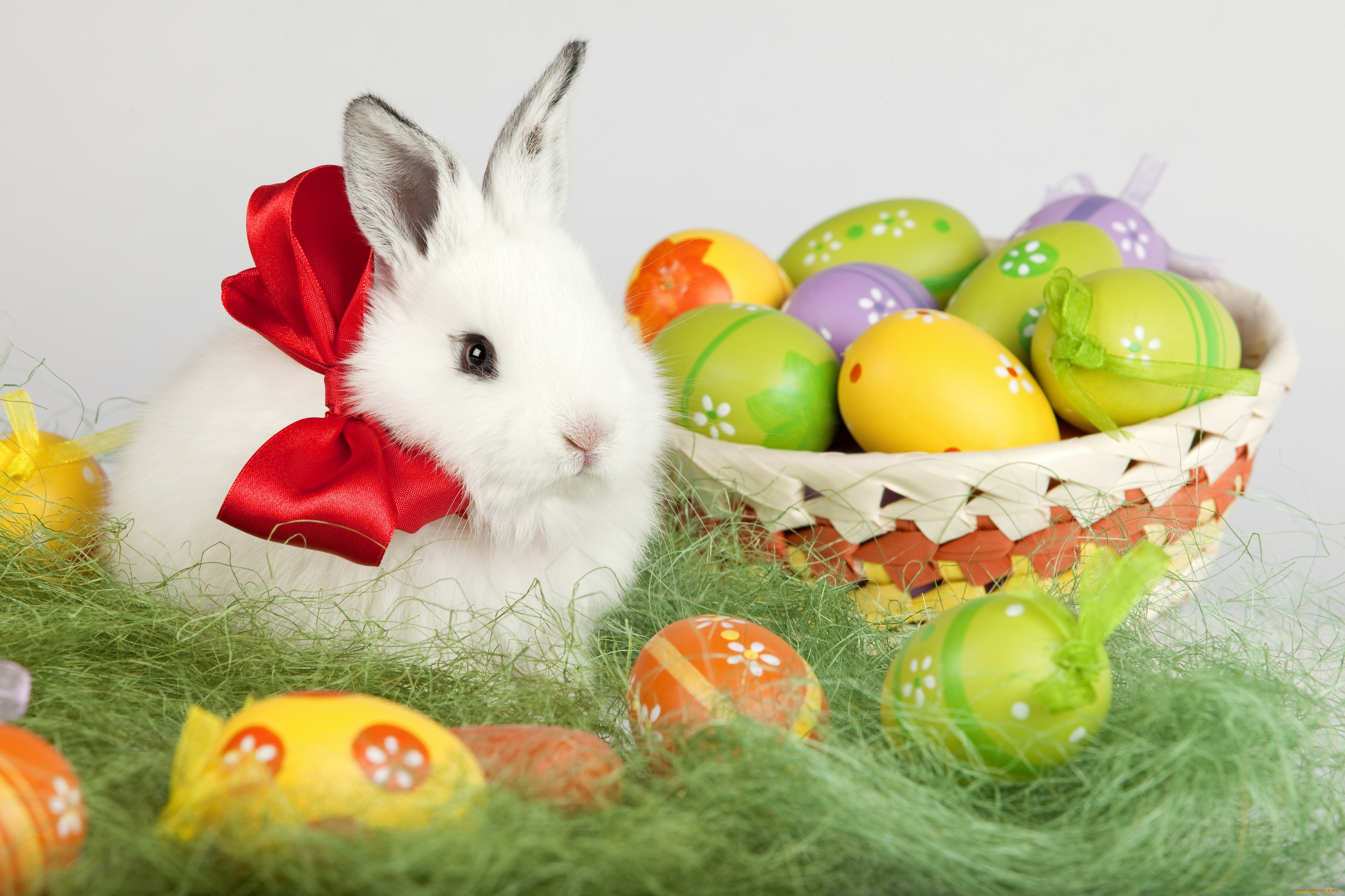 Праздник пасхи , со светлым праздником пасхи , открытки с зайчиком. Празник пасхи , светлый праздник пасхи , картинки , открытки с изображением на открытке зайчика , кролик , пасхальные , разноцветные яйца , яркие цвета , с пасхой.
