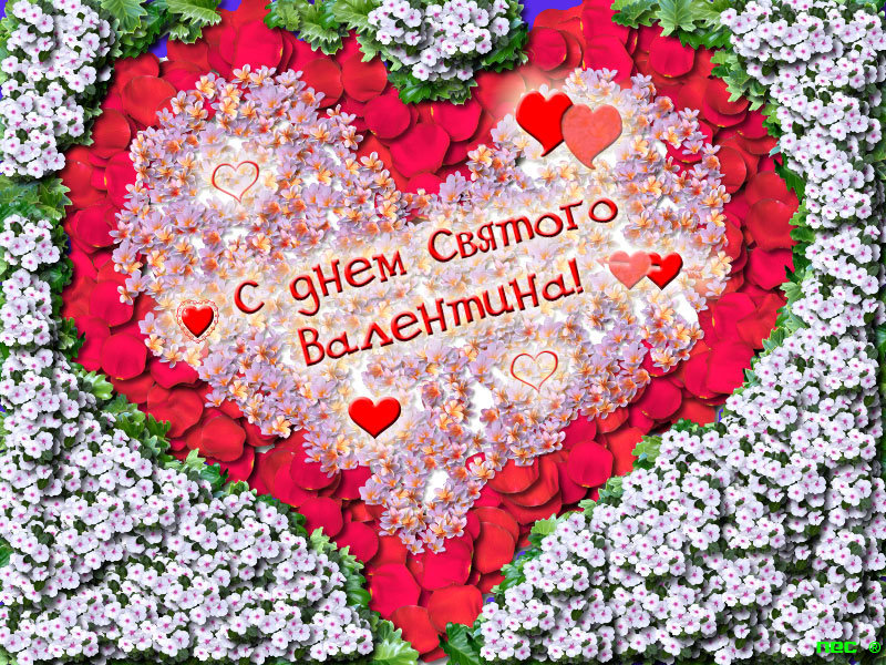 14 февраля день святого валентина праздник всех влюблённых сердец 14 февраля день всех влюблённых день святого валентина празник влюблённых сердец красные цвета красные сердца воздушные пылающие с надписью с пожеланиями красивые