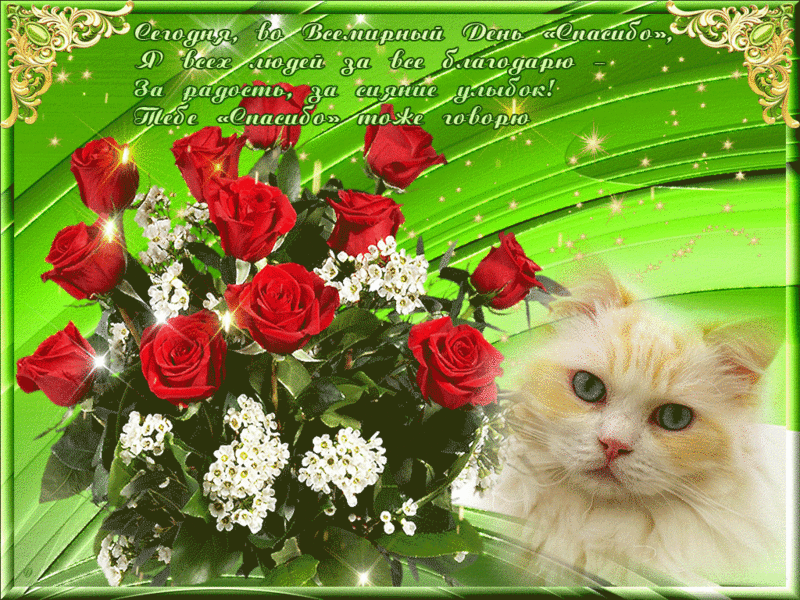 Открытка международный день спасибо ,с праздником день спасибо ,котик. Картинка открытка с праздником день спасибо , открытки с международным днём спасибо ,картинки на день спасибо , с котиком ,открытка день спасибо скачать беспалатно