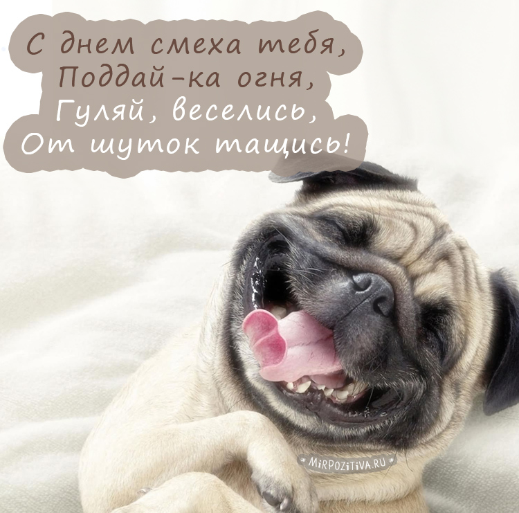 Открытка день смеха , с праздником первое апреля , с собачкой. Картинка , открытка с всемирным праздником шуток день смеха , день юмора , первое апреля ,  на открытке изображена собака , собачка озорная , смешная собачка . 