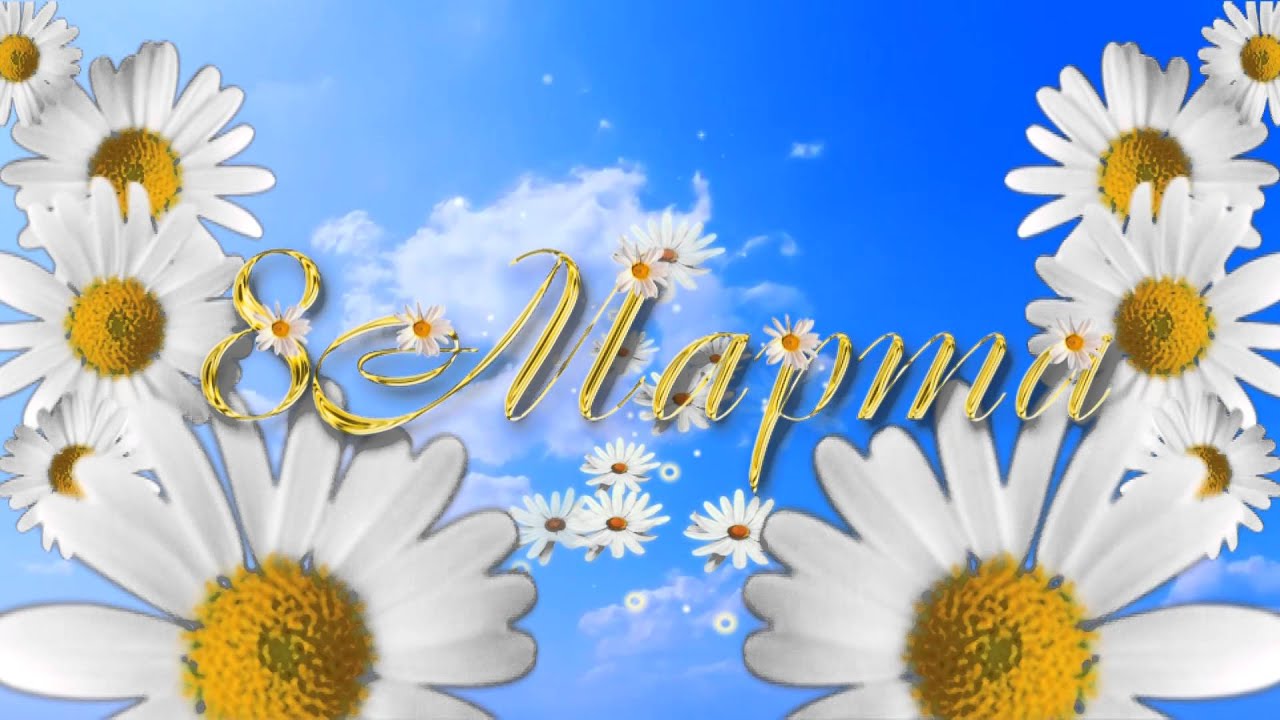 8 марта международный женский день нежные открытки с ромашками 8 марта международный женский день праздник прекрасных дам открытки с красивыми белыми цветами ромашками цветы весны нежные лёгкие напоминающие солнце белые лепестки