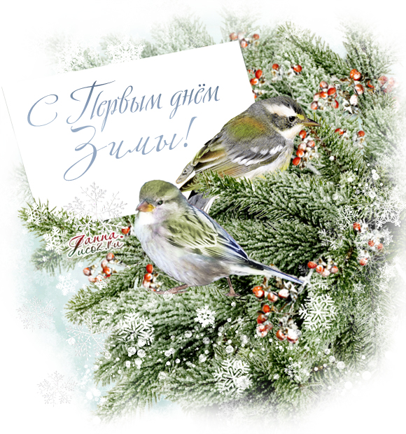 Открытка с первым днём зимы,наступила зима,1 декабря начало зимы Картинки,открытки с наступлением зимы,с первым днём зимы,открытка открытки 1 декабря начало зимы,красивые картинки открытки зима первый день зимы скачать бесплатно
