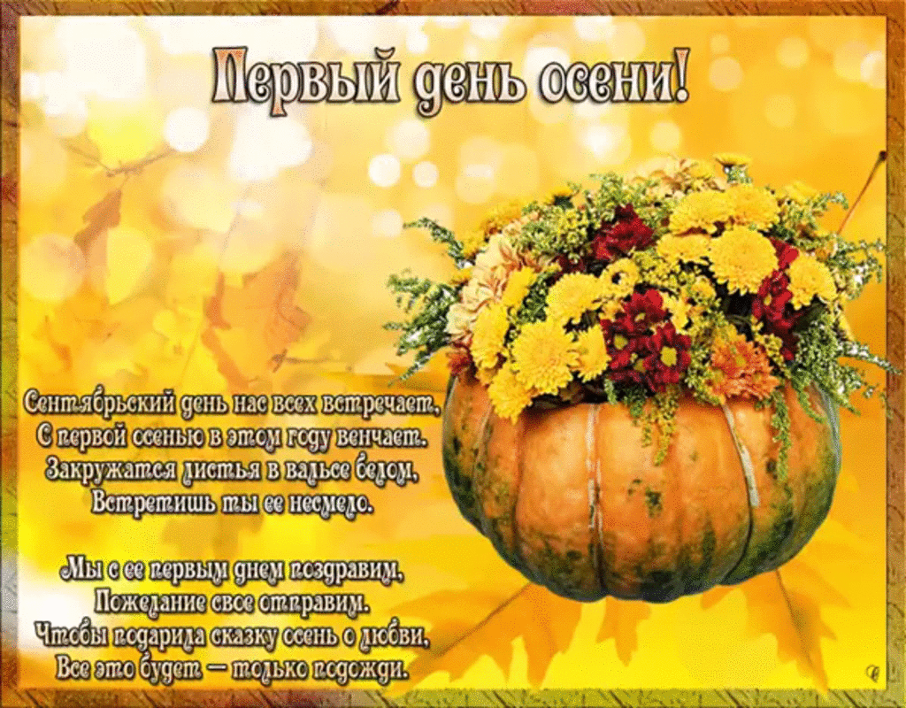 Https Encrypted Tbn0 Gstatic Com Images Q Tbn 3aand9gcqv57icspibpqfnq6wzszqmzvgqkgsnucisdw Usqp Cau