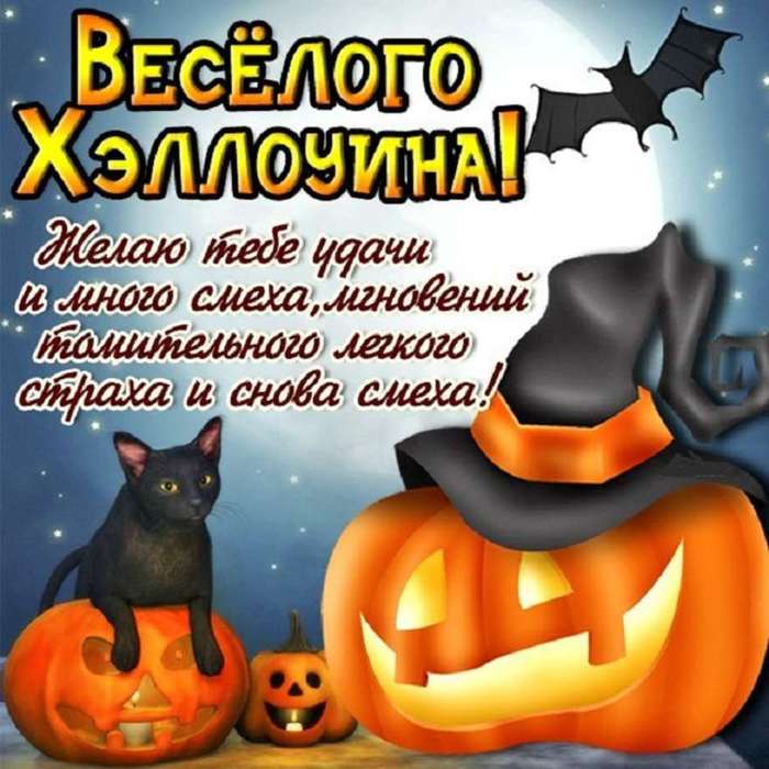 Открытка с праздником хэллоуин , 31 октября , кошка ,тыква . Картинка , открытка на праздник хэллоуин ,открытки с хэллоуином ,современный праздник , на открытке изображена кошка,кот ,тыква ,тыквы оранжевые ,открытки на хэллоуин скачать бесплатно