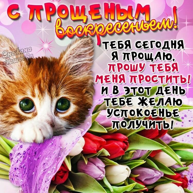 для них поздравление день прощенного воскресенья розовыми прядями