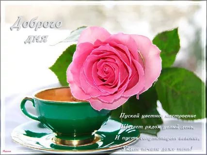 Пожелание доброго утра с розами и кофе