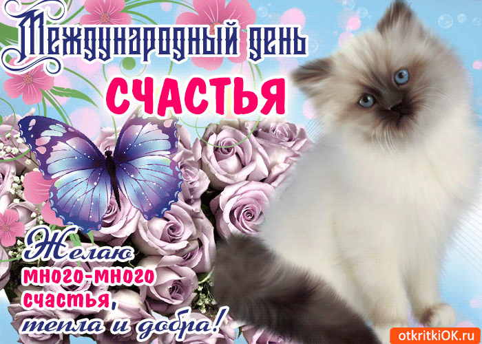 Международный день счастья , открытка гиф с праздником с днём счастья. Открытка , картинка гиф , мерцающая , с международным днём счастья , открытка анимация с изображением кошки , кошечки , цветок , открытка гиф к празднику день счастья 20 марта.