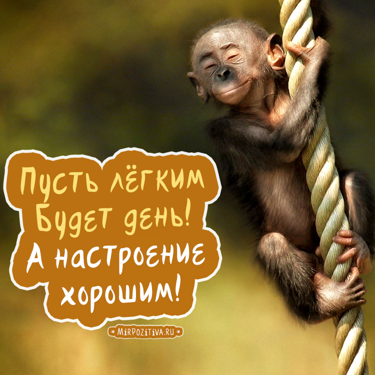 Otkrytki Dobryj Den Otkrytki S Pozhelaniyami Dobrogo Dnya Horoshego Dnya Horoshego Nastroeniya