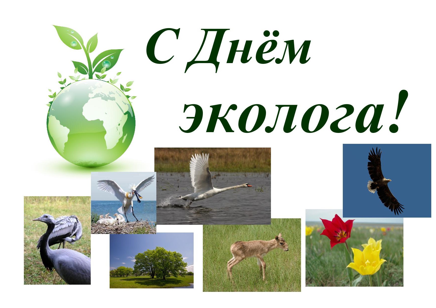 Открытки на день эколога профессиональный праздник ,с днём эколога Картики,открытки с праздником день эколога ,открытка на день эколога, картинка с днём эколога,открытка с поздравлениями на день эколога,день эколога открытки . 