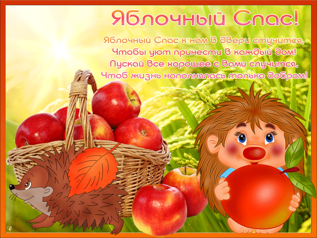 Яблочный спас народно христианский праздник , открытка с ёжиком. Яблочный спас народно христианский праздник , картинка , открытка с изображением ежа , ёжика ,красивые , яркие , красные яблоки , яблочки , с яблочным спасом . 