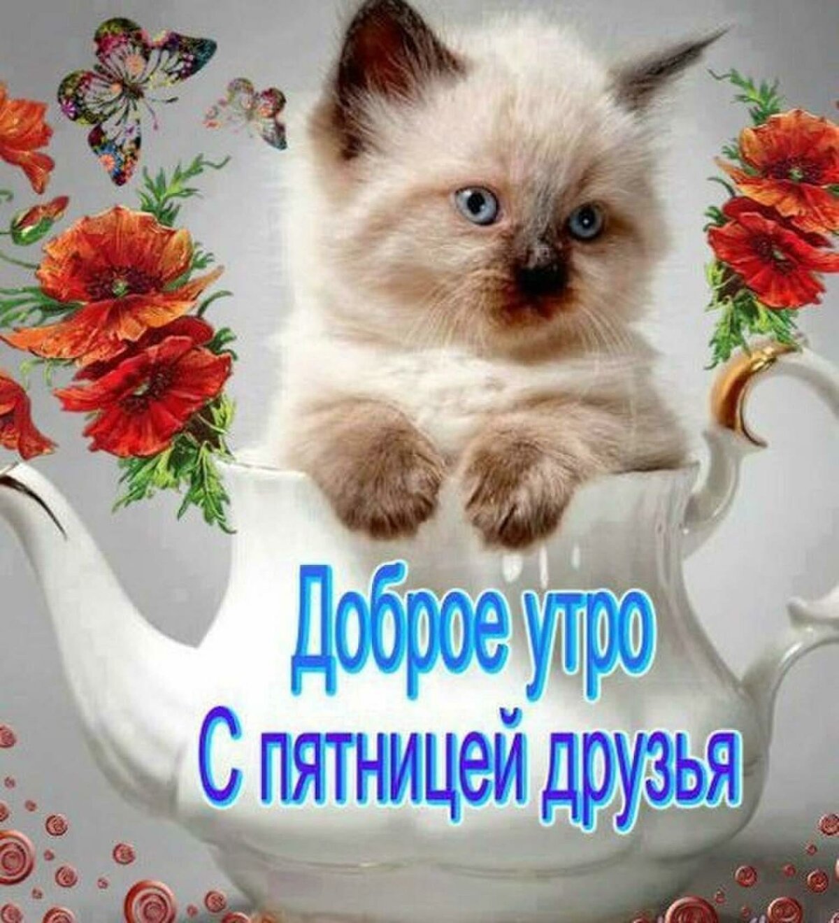Otkrytki Dobroe Utrodni Nedeli Otkrytkakartinka S Pozhelaniyami Dobrogo Utra Pyatnicypyatnica Dobroe Utro