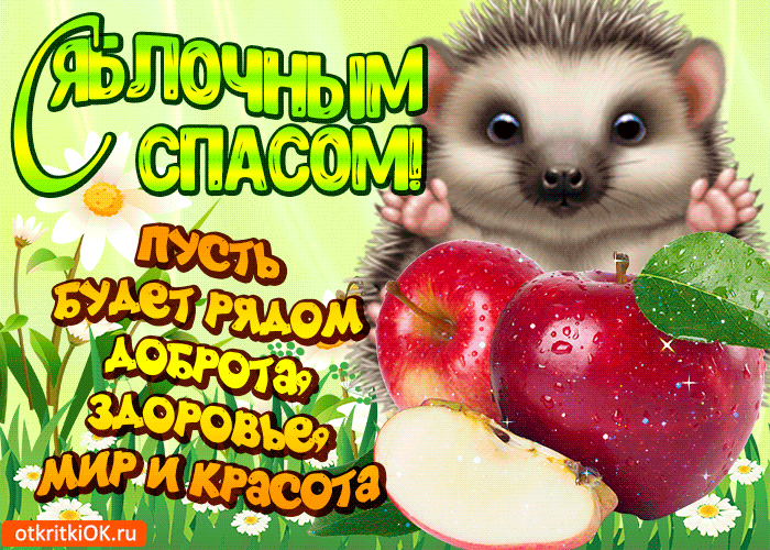 Https Encrypted Tbn0 Gstatic Com Images Q Tbn 3aand9gcsazokxvns0uawck8plfixebjdhjba0jbrgvg Usqp Cau