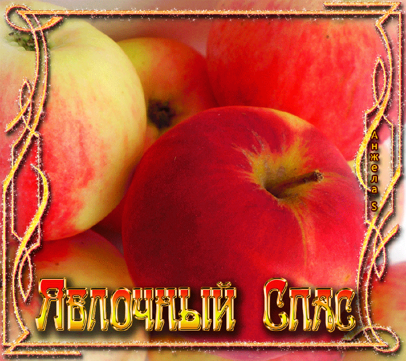 Яблочный спас народно христианский праздник , открытка гиф . Яблочный спас народно христианский праздник , картинка , открытка гиф , мерцающая , на яркой открытке изображены красивые яблоки , сочные , с яблочным спасом . 
