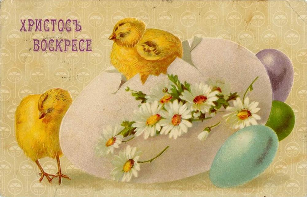 Пасха , светлый праздник пасхи , открытка с циплятами , с пасхой. Пасха , светлый праздник пасхи , картинка , открытка с изображением жёлтых циплят , на открытке изображены пасхальные яйца , яркие , разноцветные открытки с пасхой.