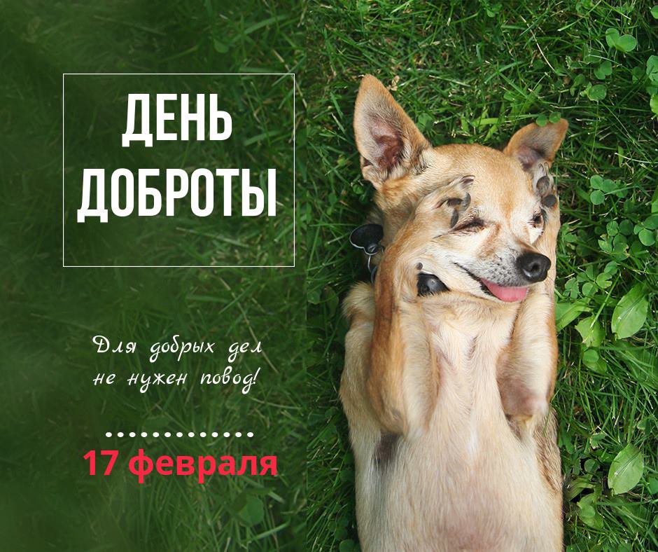 Международный день доброты , открытка с праздником день доброты ,собака. Открытка ,картинка с всемирным днём доброты ,добра , открытки с днём доброты , на открытке изображена собака ,собачка ,пёсик, открытка день доброты скачать бесплатно.