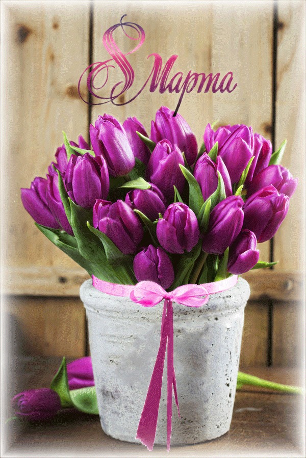 8 марта международный женский день красивый нежный праздник  8 марта международный женский день праздник весны тепла красивые открытки ко дню 8 марта с яркими цветами тюльпанами для милых дам роскошный цветок весны ассоциирующийся с праздником