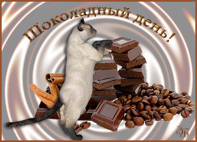 Всемирный день шоколада открытка с праздником с днём шоколада с кошкой. Открытка , картинка с днём шоколада праздник отмечаемый ежегодно  11 июля ,родиной дня шоколада считается Франция , открытка ко дню шоколада с котиком , котёнком.