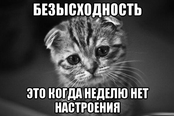 картинки с надписью настроения нет