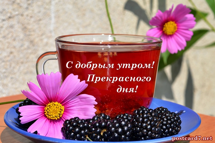 Otkrytki Dobroe Utro Otkrytki S Pozhelaniem Dobrogo Utra S Chashechkoj Kofe Appetitnye