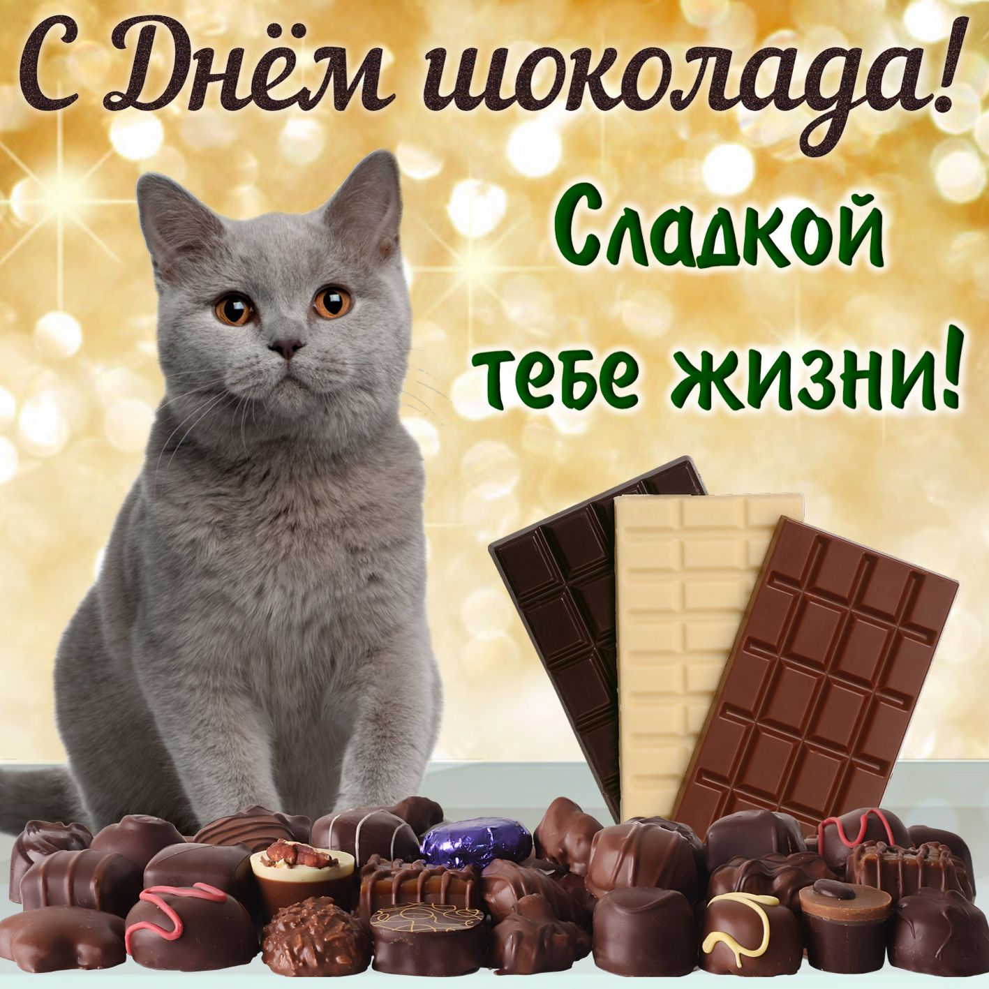 Всемирный день шоколада открытка с праздником с днём шоколада с кошкой. Открытка , картинка с днём шоколада праздник отмечаемый ежегодно  11 июля ,родиной дня шоколада считается Франция , открытка ко дню шоколада с котиком , котёнком.