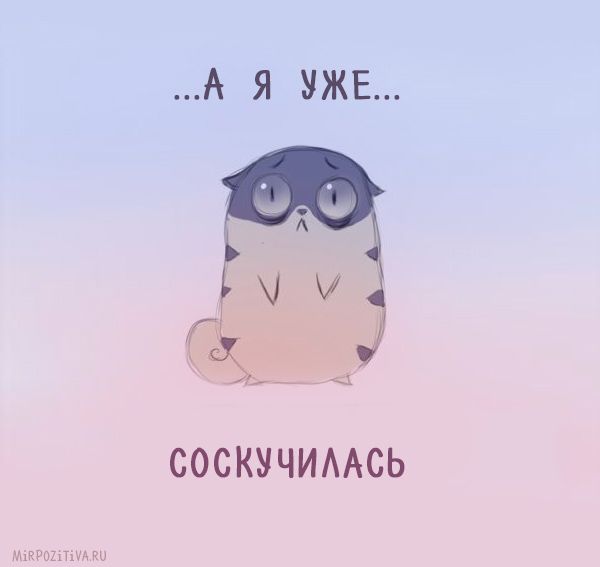 Otkrytki Otkrytki Skuchayu