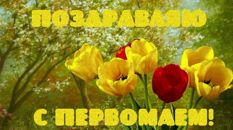 1 мая день мира и труда , открытки с праздником 1 мая ,с цветами 1 мая день мира и труда , открытки , картинки с праздником первое мая , с изображением на открытке ярких цветов , весна , весеннее настроение , яркие цветы весенние