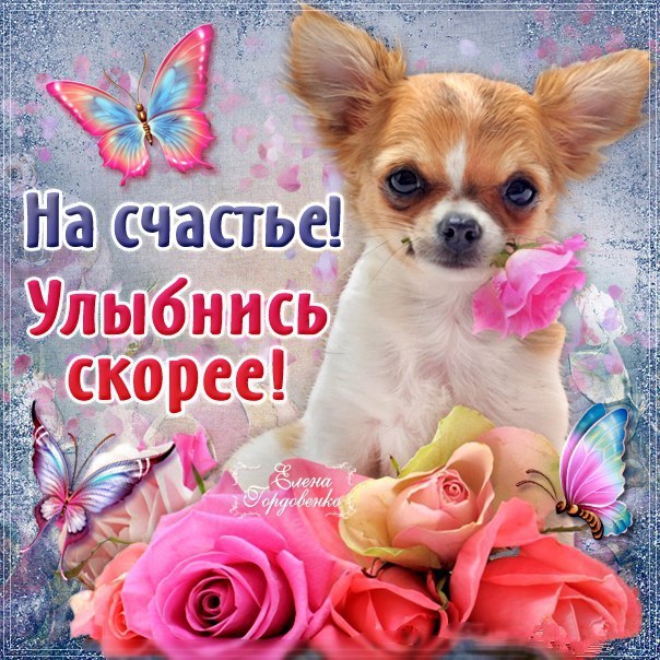 Международный день счастья , открытка с днём счастья , с собачкой. Картинка , открытка с днём счастья , международный день счастья , 20 марта всемирный день счастья , на открытке изображена собачка , щенок , красивая открытка с днём счастья.