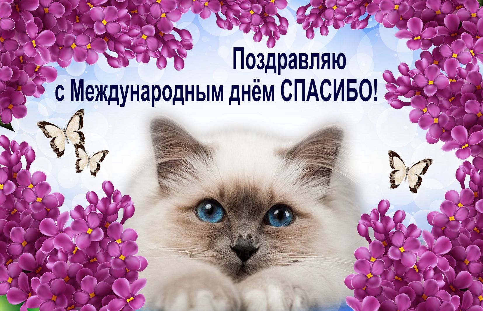 Открытка международный день спасибо ,с праздником день спасибо ,котик. Картинка открытка с праздником день спасибо , открытки с международным днём спасибо ,картинки на день спасибо , с котиком ,открытка день спасибо скачать беспалатно