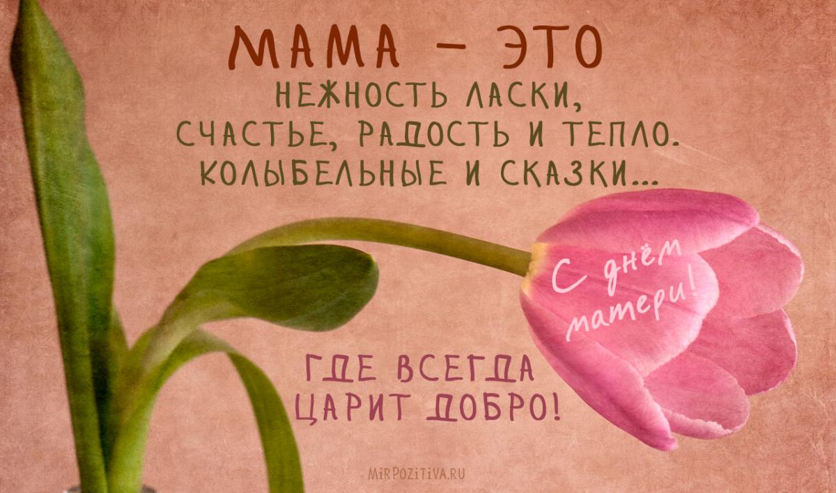 Международный праздник день матери , открытка день матери с цветами Открытка , картинка с праздником международный день матери праздник в честь матерей ,принято поздравлять матерей и беременных женщин , открытка с днём матери с красивыми цветами