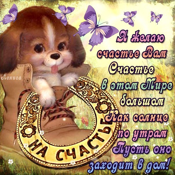 Международный день счастья , открытка с днём счастья , с собачкой. Картинка , открытка с днём счастья , международный день счастья , 20 марта всемирный день счастья , на открытке изображена собачка , щенок , красивая открытка с днём счастья.