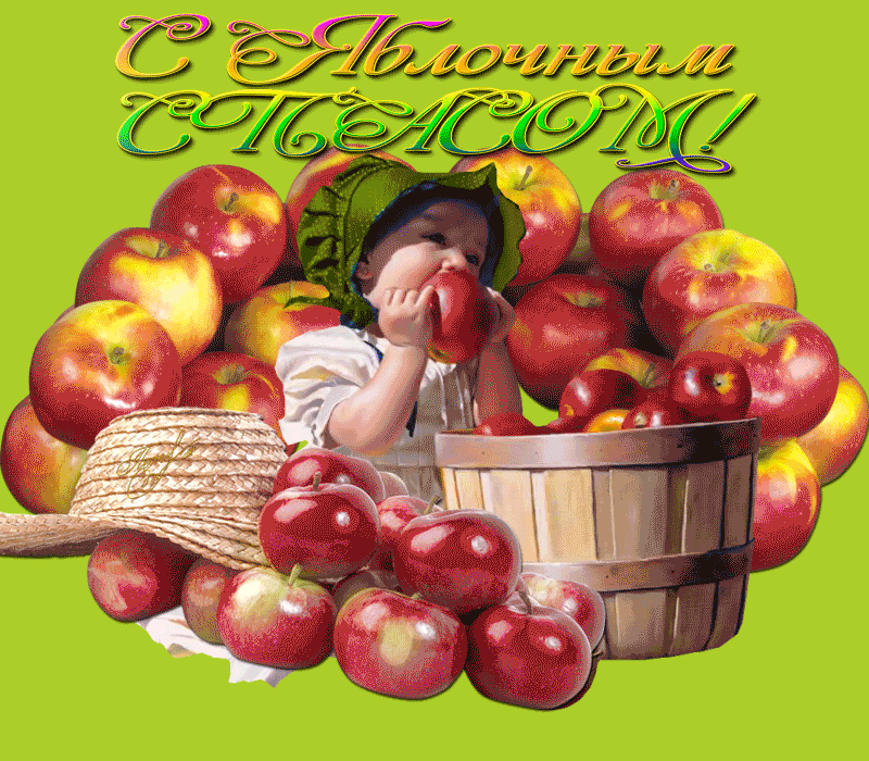Яблочный спас народно христианский праздник , открытка гиф с ёжиком. Яблочный спас народно христианский праздник , картинка , открытка гиф , на открытке изображён ёжик , красные яблоки , мерцающая открытка с яблочным спасом , ёж .